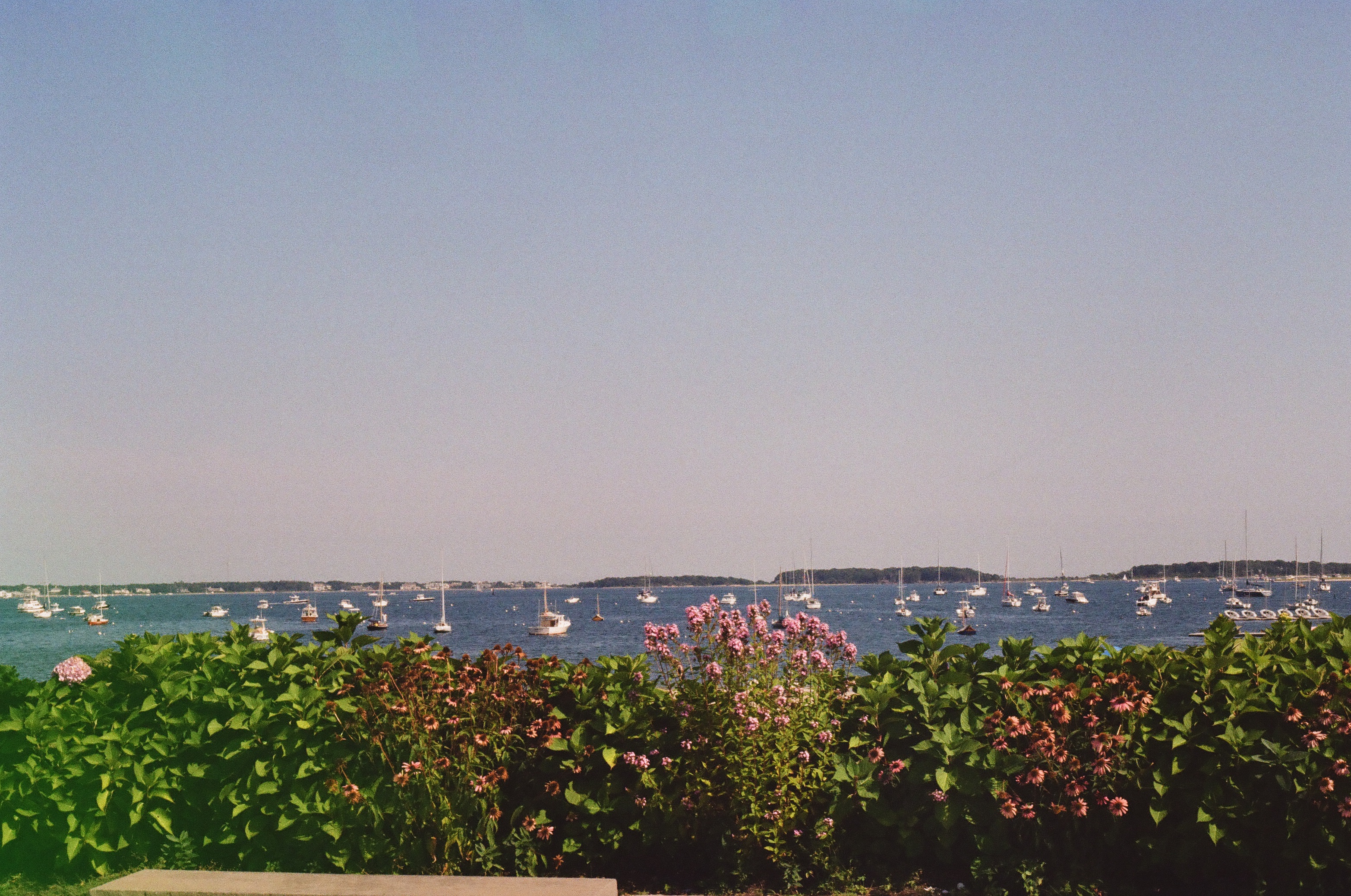 Cape Cod