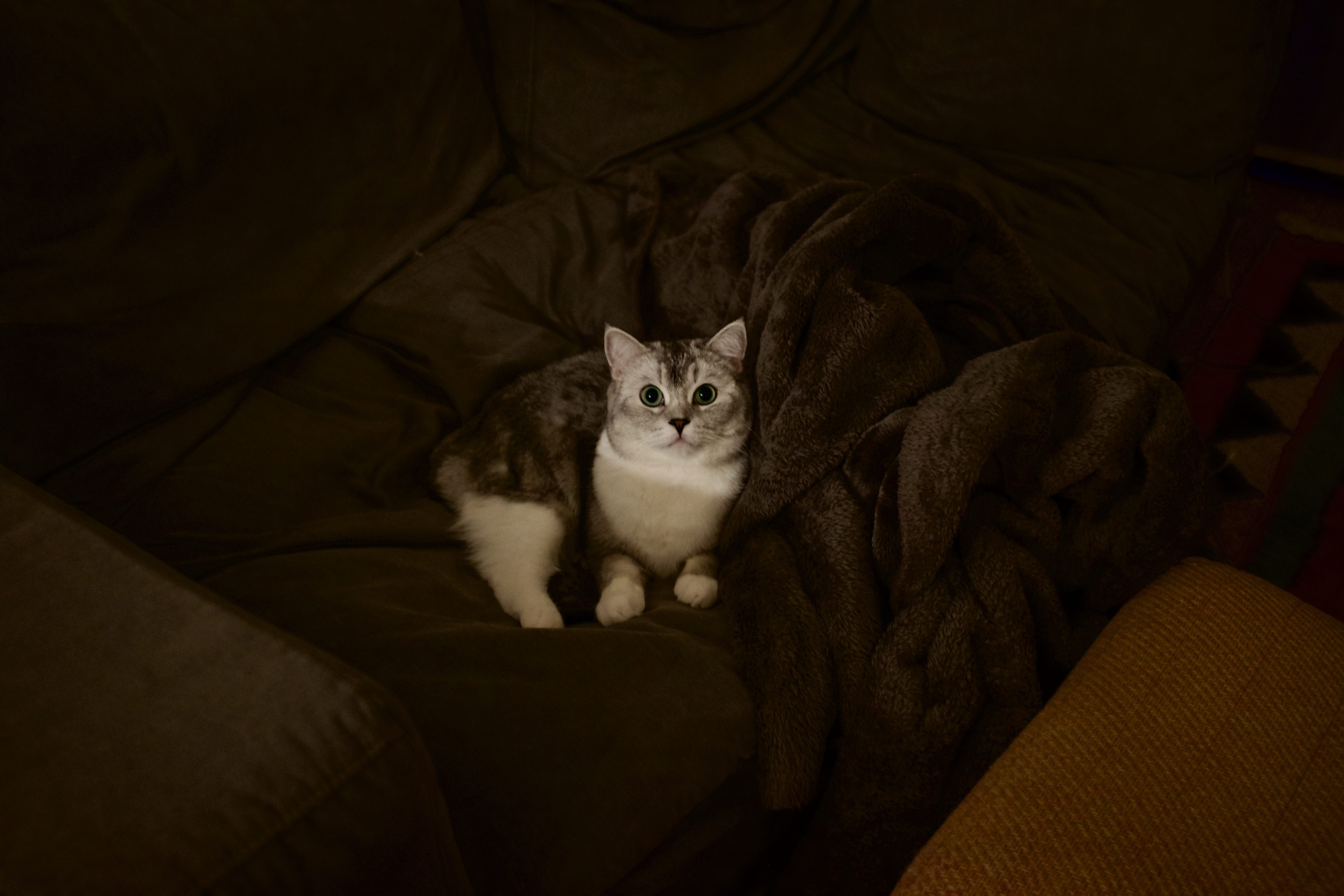 Photo 19